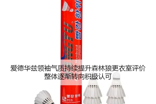 爱德华兹领袖气质持续提升森林狼更衣室评价整体逐渐转向积极认可